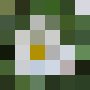 gaensebluemchen-pixel-grob.png