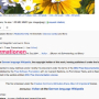 wikipedia.jpg