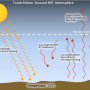 einstrahlung-ausstrahlung-mit-atmosphaere.jpg