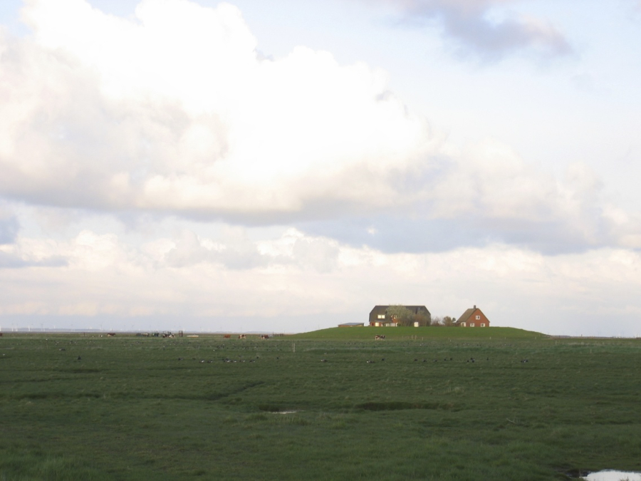 langeness-2005-030.jpg
