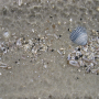langeness-2005-075.jpg