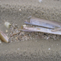 langeness-2005-076.jpg