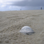 langeness-2005-084.jpg