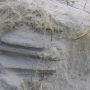 langeness-2005-106.jpg