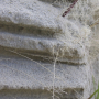 langeness-2005-108.jpg
