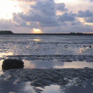 langeness-2005-135.jpg