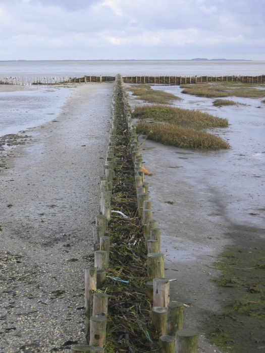 langeness-2005-137.jpg