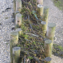 langeness-2005-139.jpg