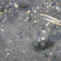 langeness-2005-141.jpg