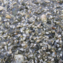 langeness-2005-142.jpg