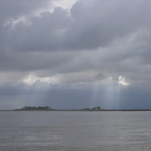 langeness-2005-154.jpg
