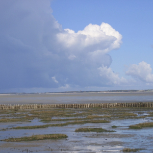 langeness-2005-174.jpg