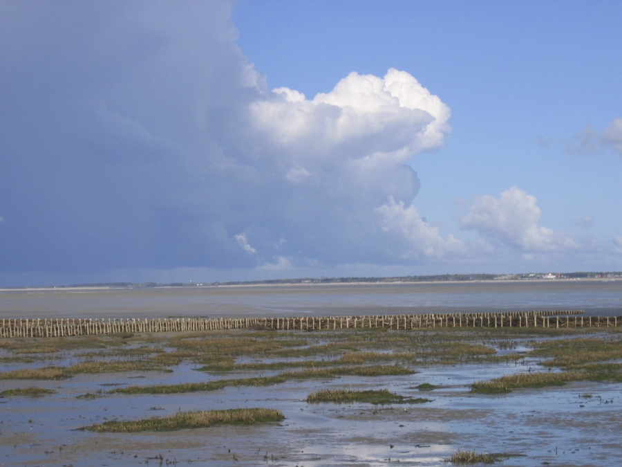 langeness-2005-174.jpg
