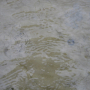 langeness-2005-203.jpg